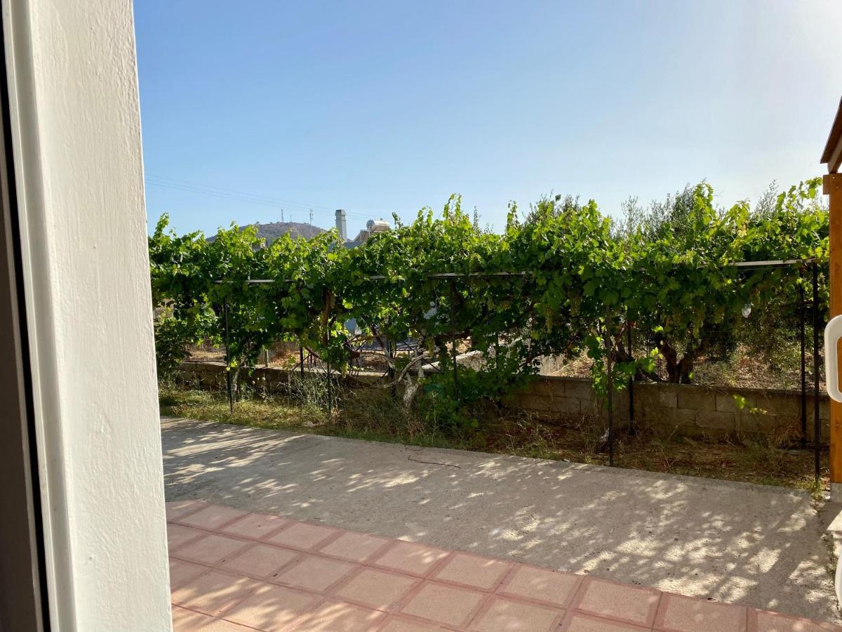Family Friendly Apartment, In Nature, With Yard "5" Ziparion Exterior photo